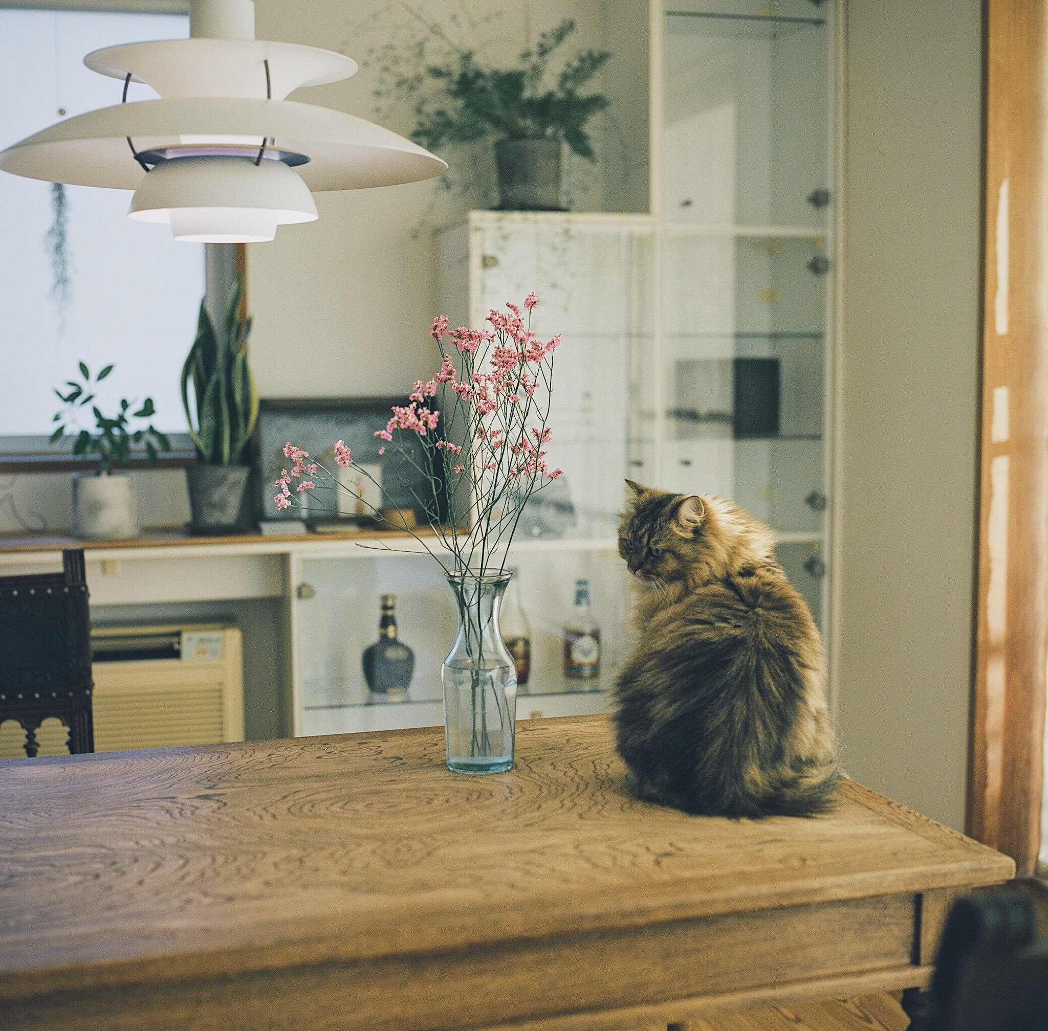 Alejandro Zambra: Entre Nicanor Parra y R.E.M.