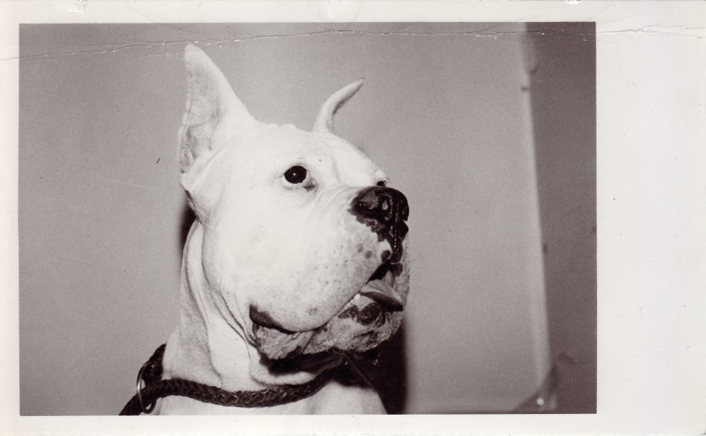 Octubre en Casa del Lago: Warhol, Fassbinder, poesía y música experimental