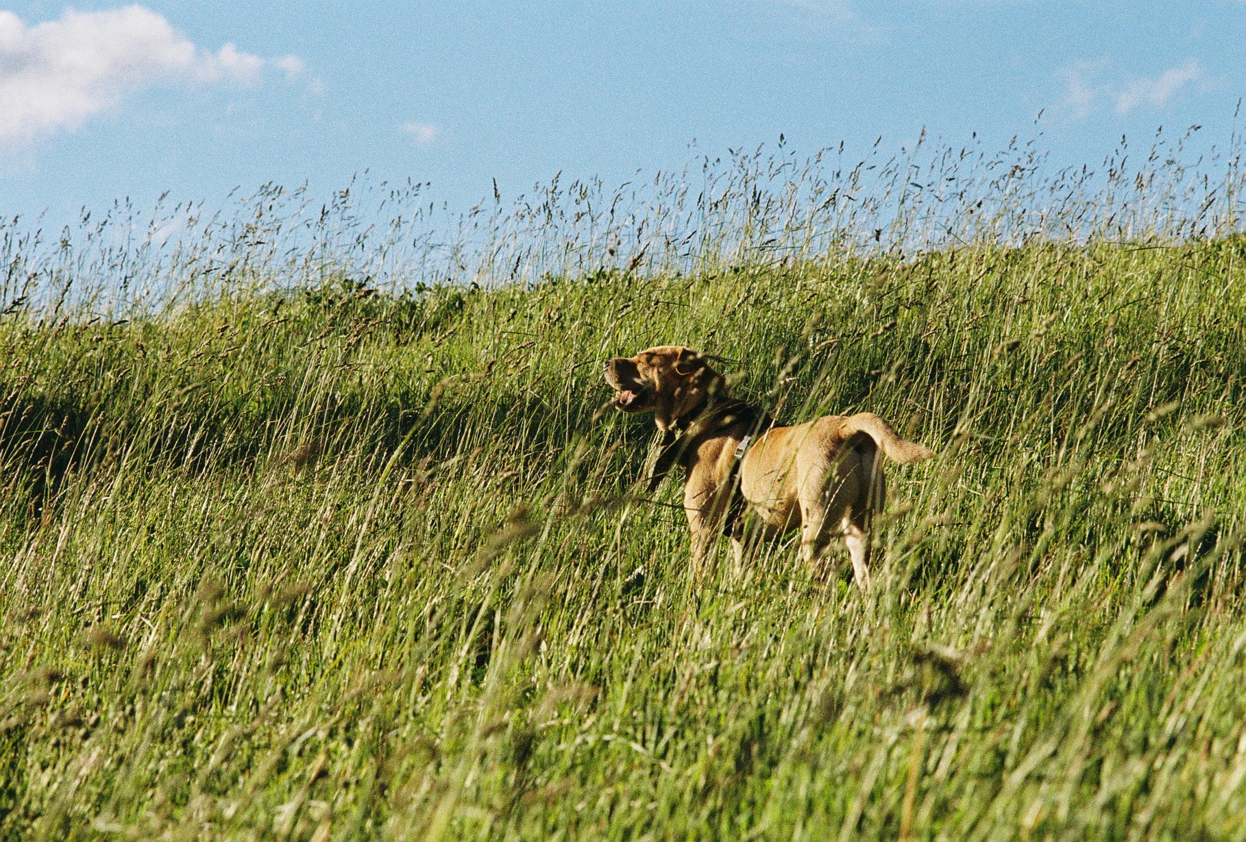 Ampliar mis horizontes
