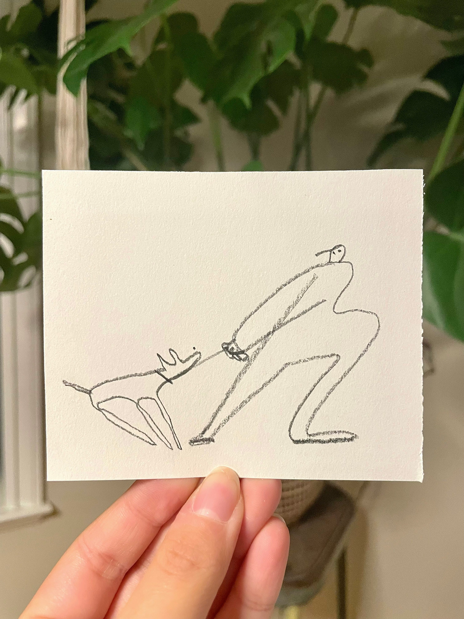 All Creatures Great and Small