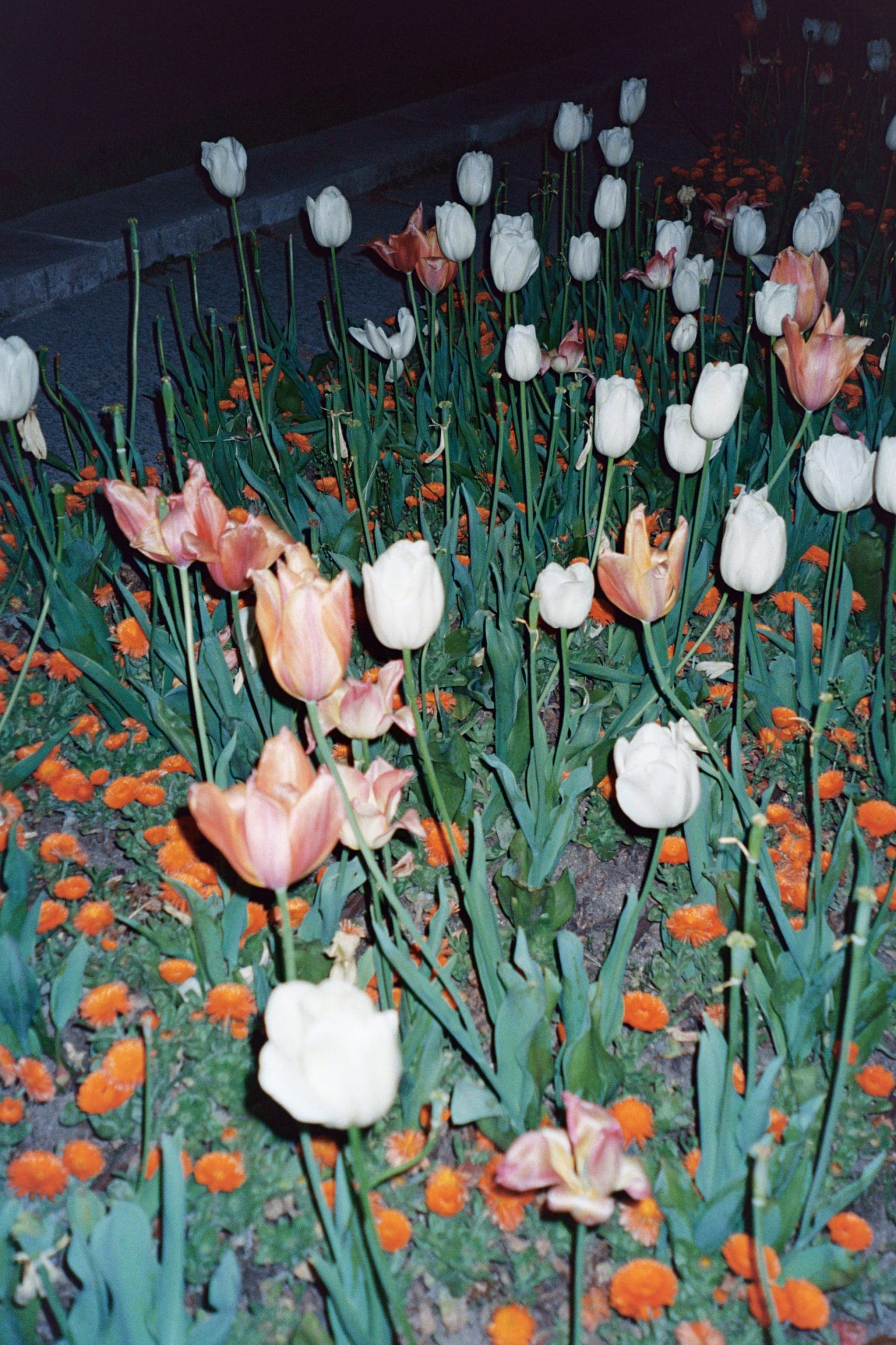 Mind, Reading My Mind?