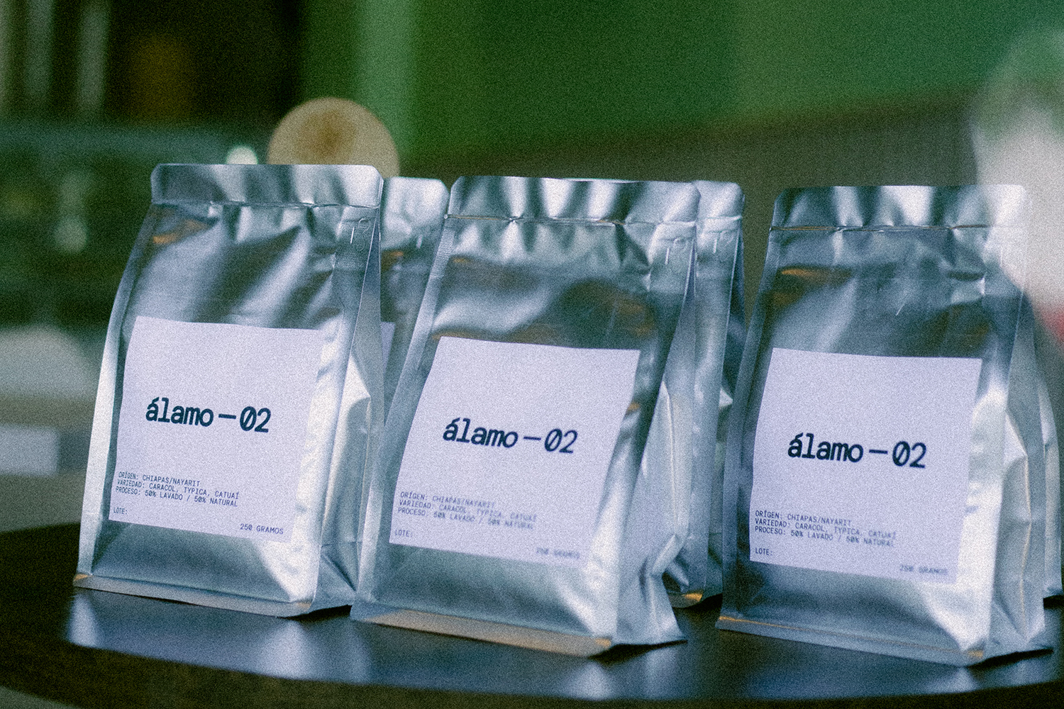 Álamo