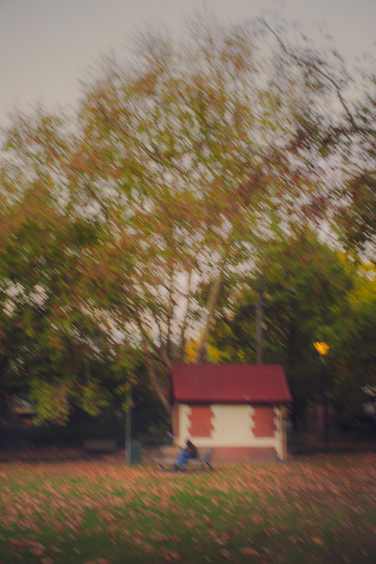 If the wind lingers